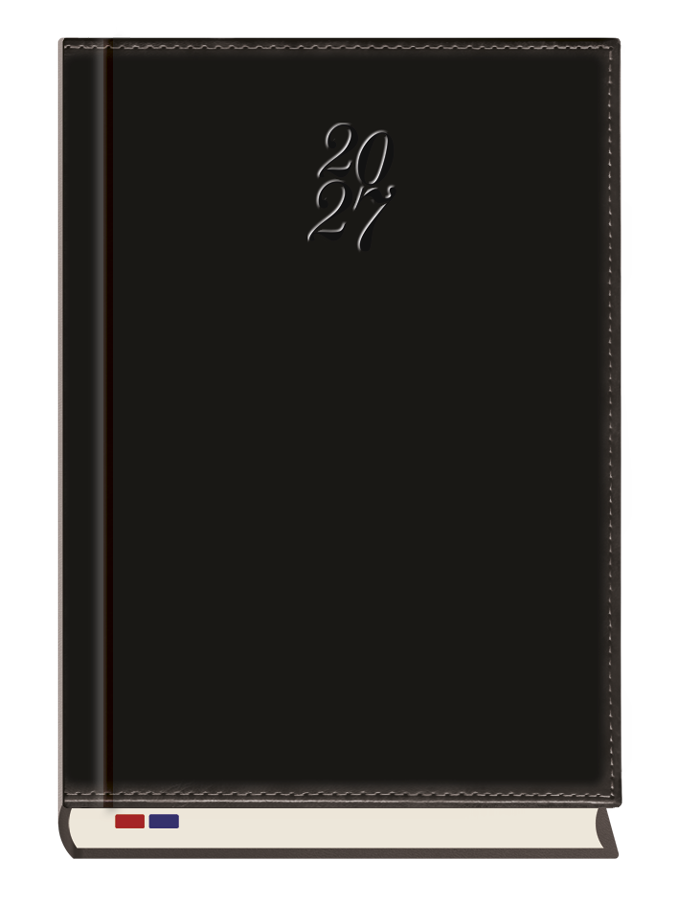 T-246N-59 Terminarz Ambasador