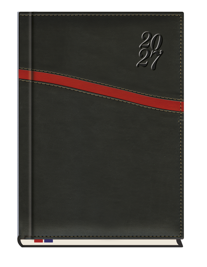 T-249K-01 Terminarz Asesor