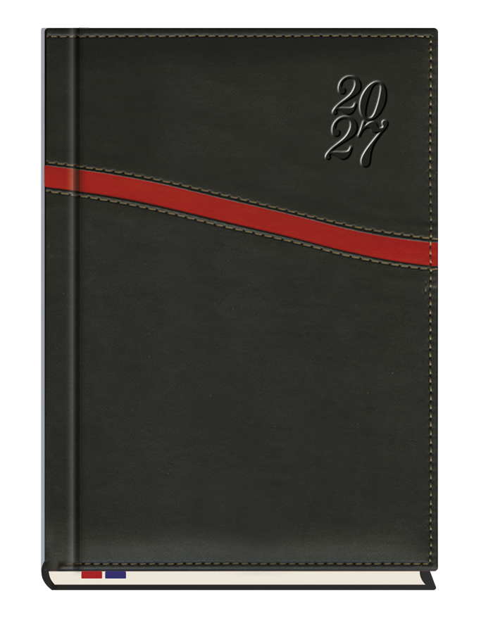 T-249K-01 Terminarz Asesor