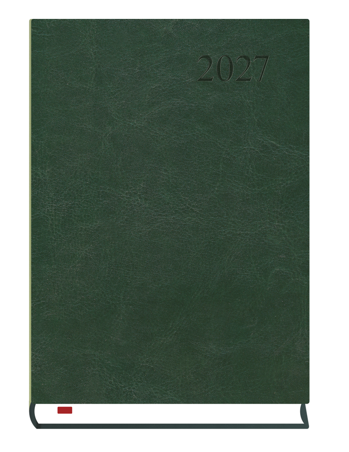 T-237A-Z2 Terminarz Asystent