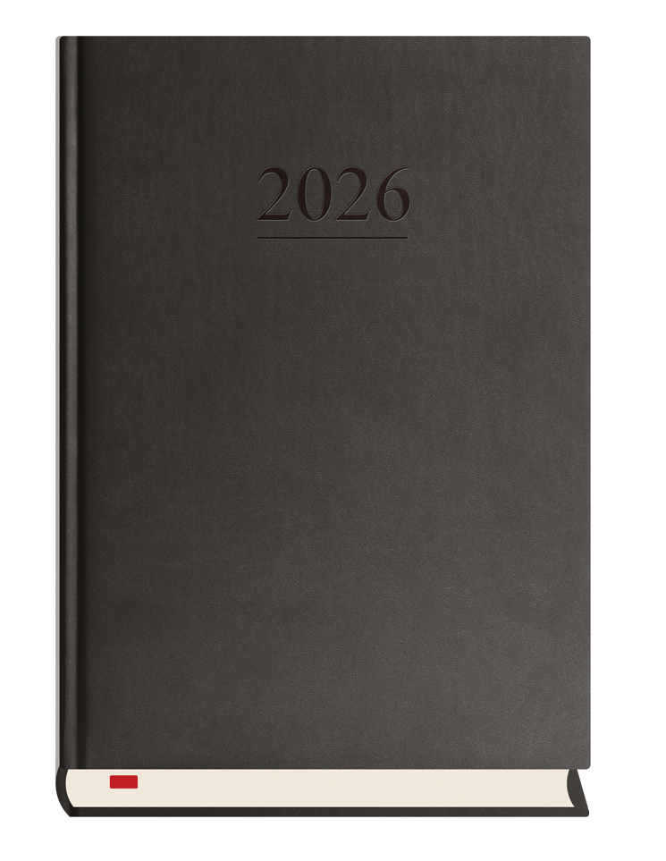 T-203V Terminarz Menadżera