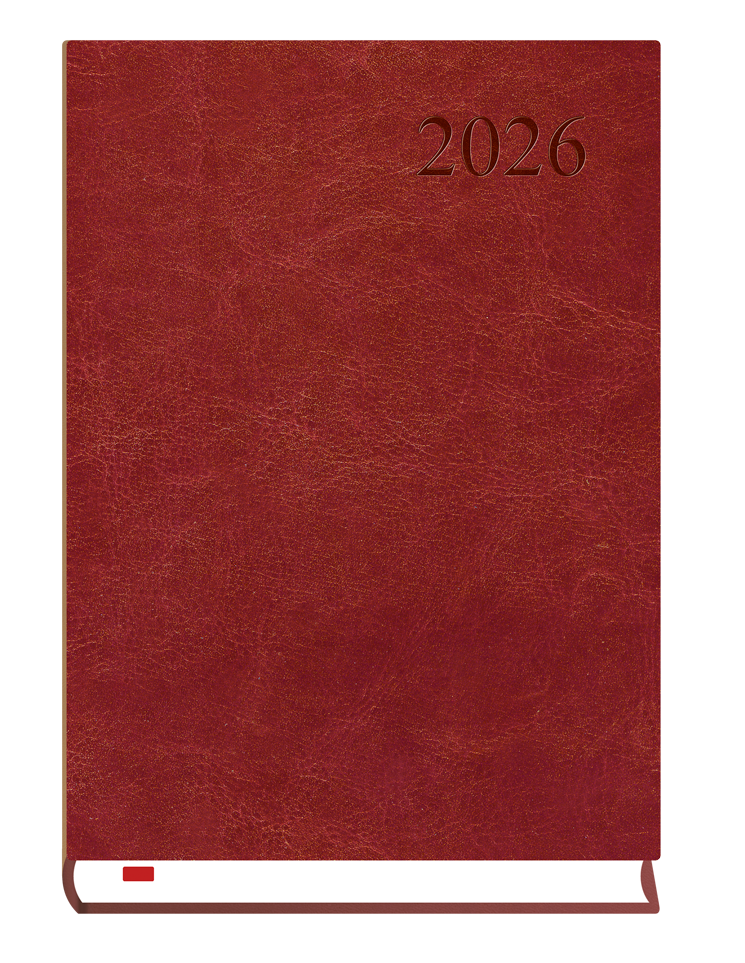 T-237A Terminarz Asystent