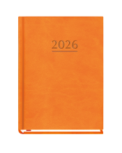 T-212V Terminarz Ola